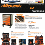 Fall Dynamic Promotion